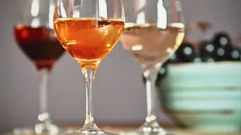 Rebsorten-Kurs: Typisch Merlot, Chardonnay & Co.
