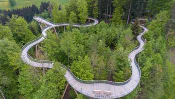 Passeggiata in cima all'albero Neckertal