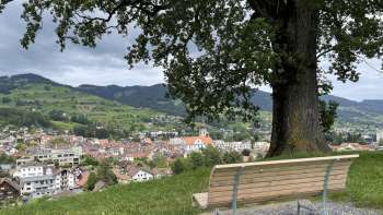 Aussichtspunkt Eiche auf dem Forst