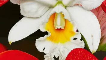 En Fleur