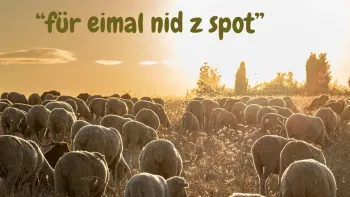 Weihnachtsmusical