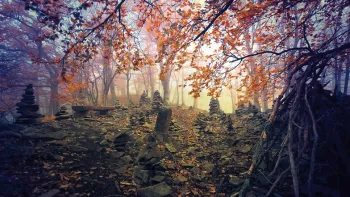 Explora: Die Seele des Waldes