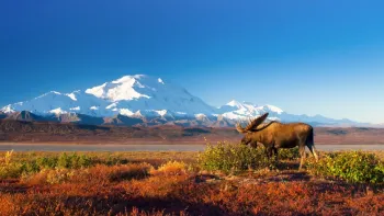 Explora: Alaska - Wildes Land Explora: Alaska - Wildes Land