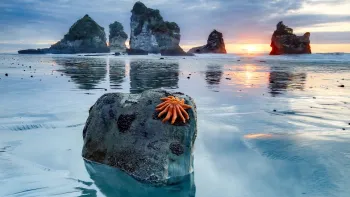 Explora: Wunderwerk Natur - Wie wir unseren Planeten retten