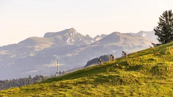 Cycle Valley