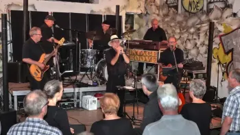 Vintage Groove
