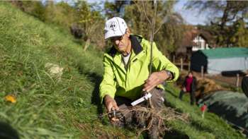 Natur verbindet - Hekenpflanzung in Gonten