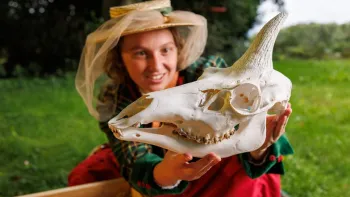 Kindertheater: Louisa Wilson und das gestreifte Einhorn