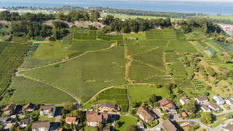 Roman Rutishauser - Weingut am Steinig Tisch