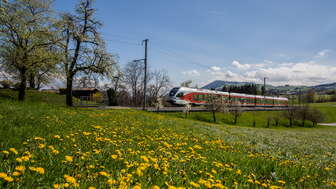 Schweizerische Südostbahn (Chemins de fer du sud-est suisse)