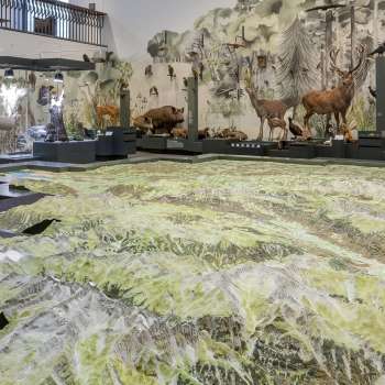 Naturmuseum, Innenbereich