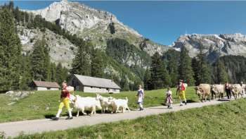 Klangkino Film & Vortrag mit Peter Roth zu Handwerk und Intu