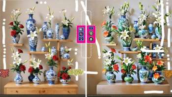 Guido von Stürler: Zwischen den Systemen – Kunst im vernetzt