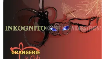 Inkognito