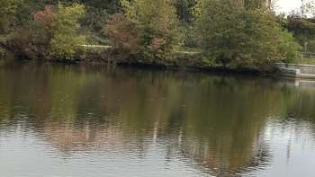 3-Zimmer Ferienwohnung am Gübsensee