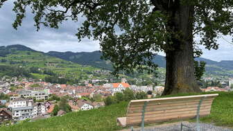 Aussichtspunkt Eiche auf dem Forst