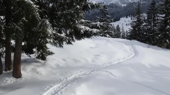 Winterwanderung mit Fondue