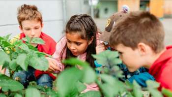 Workshop: «Ab in den Schul- und Kitagarten, aber wie?»