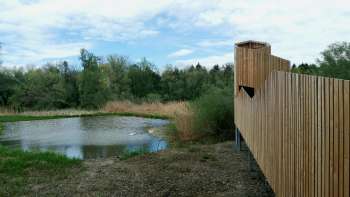 Tour d'observation de la nature "Weitsicht" au Vieux Rhin