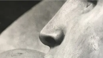 Führung durch die Michelangelo-Ausstellung "Das Wort wurde F