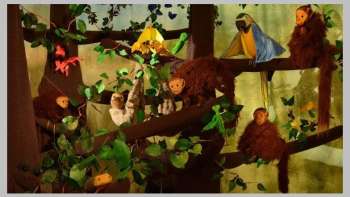 Mit Tom durch den Urwald