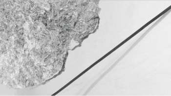 Othmar Eder / Gisela Hoffmann – fragile