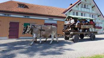 L'expérience Waldegg