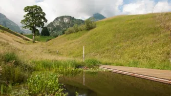 Yoga Spätsommer-Retreat – 27.–30. August 2026 (Do–So)