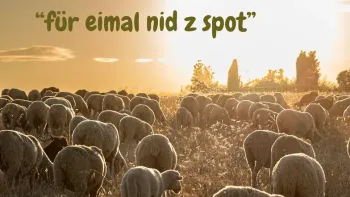 Weihnachtsmusical