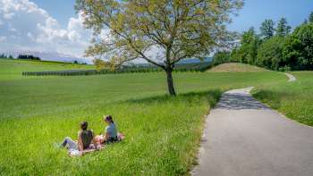 Viewpoint Ruggisberg