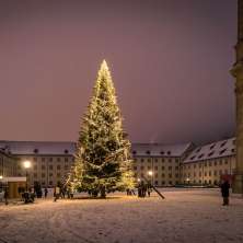 St.Gallen, Klosterplatz, Sternenstadt, Schnee, Advent, Christbaum, Weihnachtsbeleuchtung, Weihnachten, Nacht